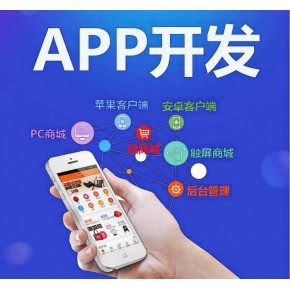 九盈國際系統(tǒng)APP軟件開發(fā)