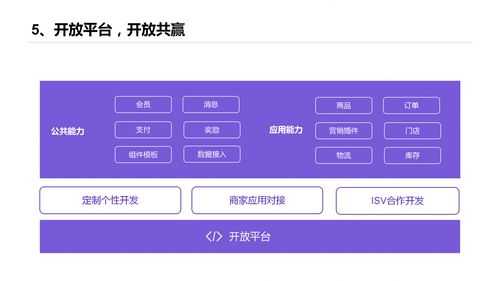 微三云,莞云,微三云云平臺商城系統介紹,莞云云平臺商城系統介紹